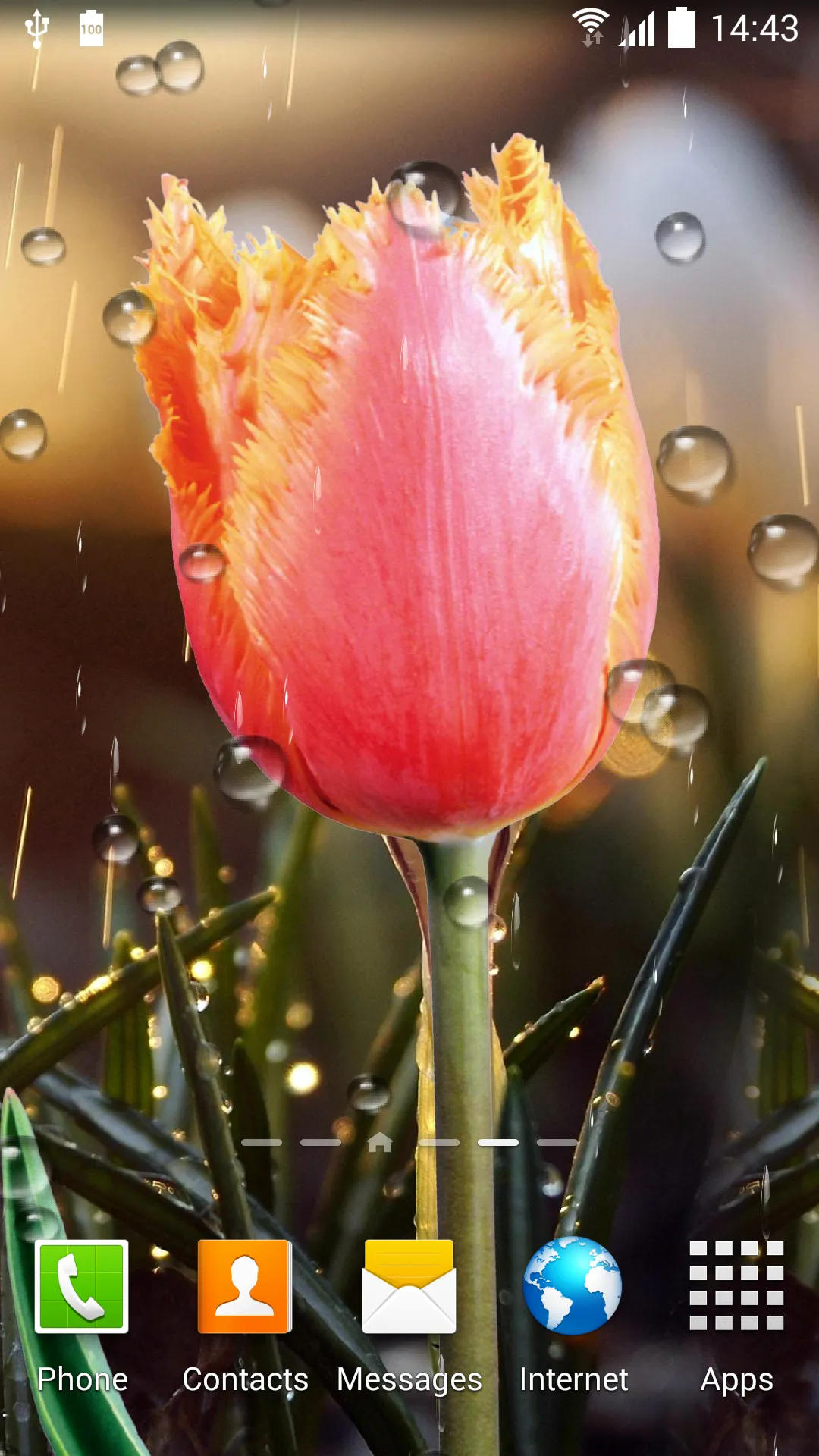 Spring Flower Live Wallpaper | Indus Appstore | Screenshot