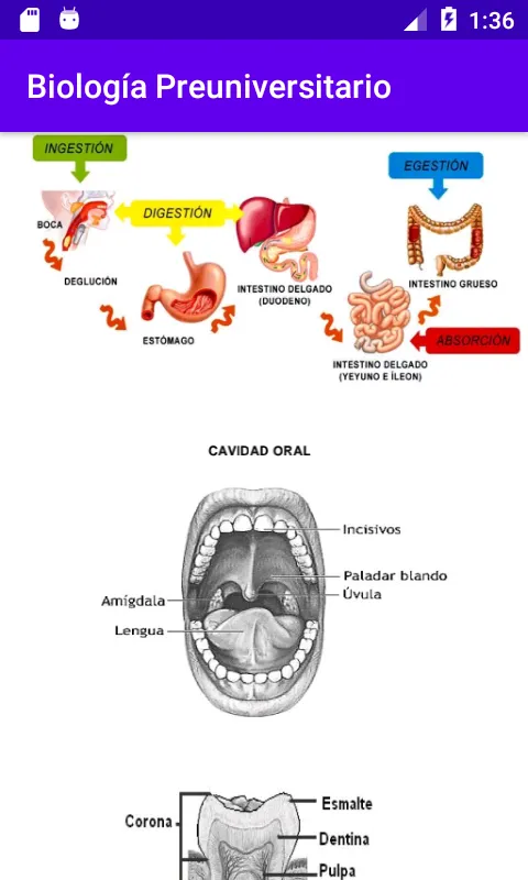 Biología Preuniversitario Grat | Indus Appstore | Screenshot