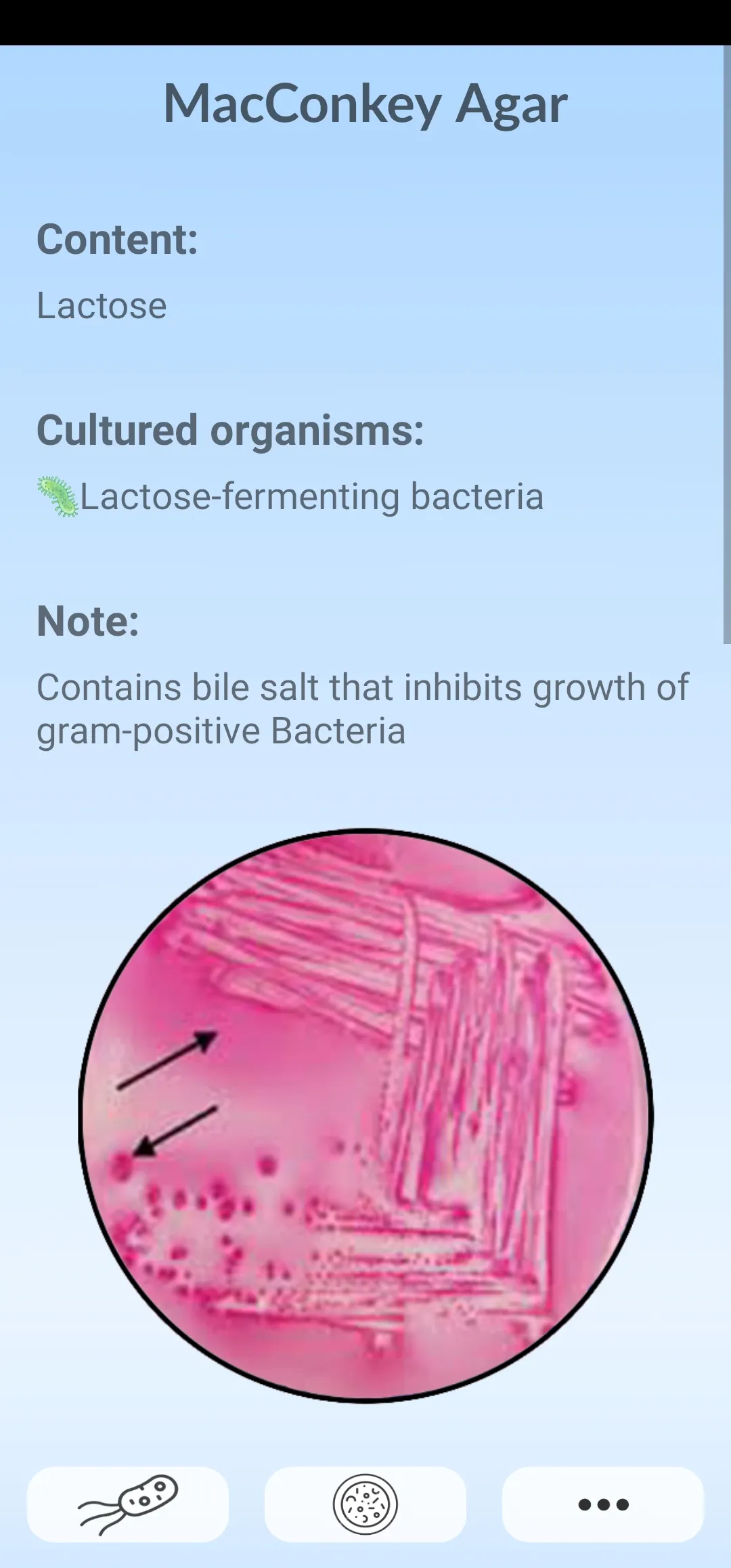 Microbiology Guide | Indus Appstore | Screenshot