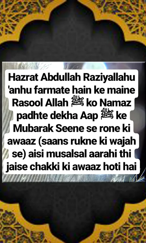 Quran Hadees Collection | Indus Appstore | Screenshot