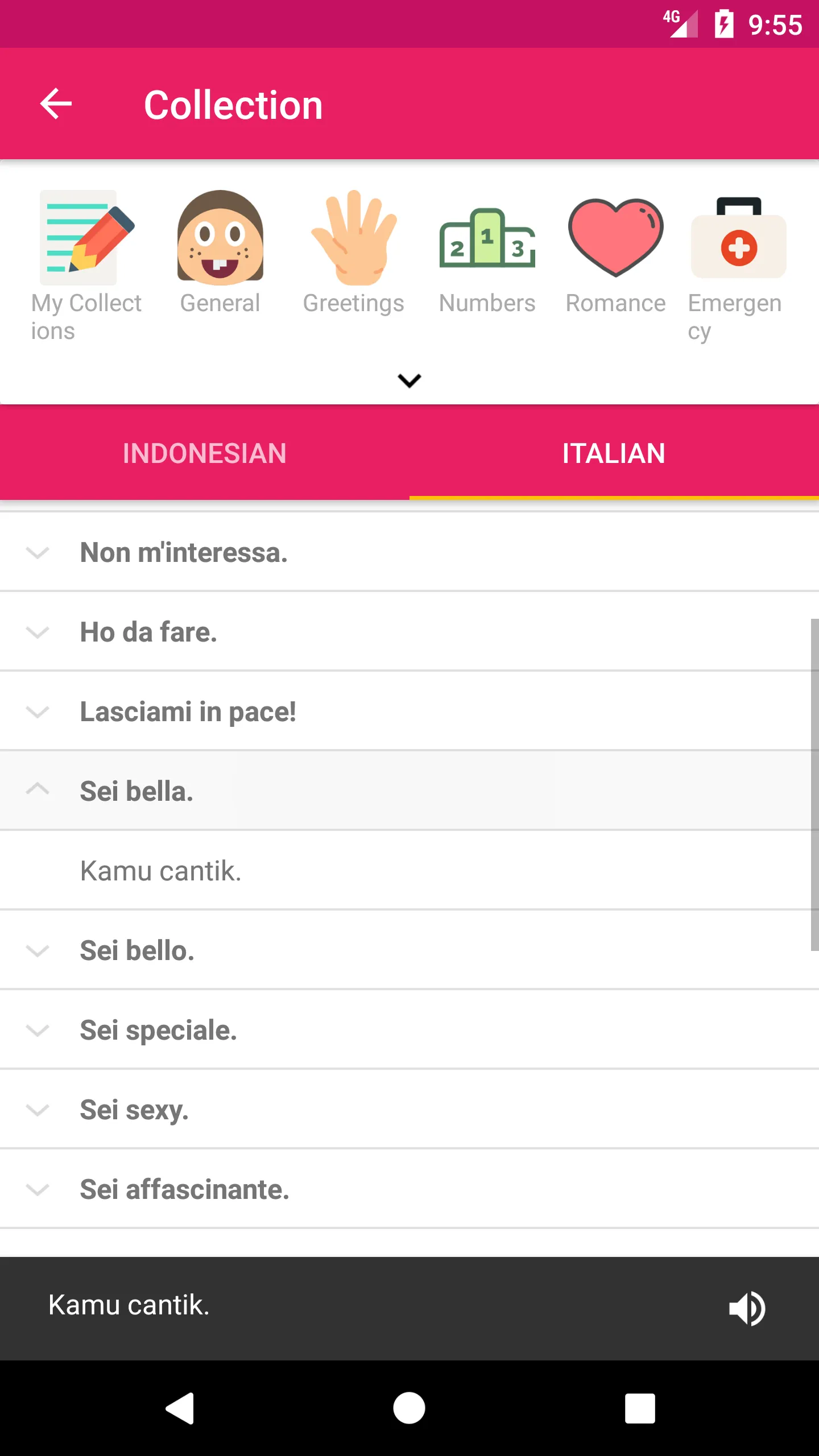 Indonesian Italian Dictionary | Indus Appstore | Screenshot