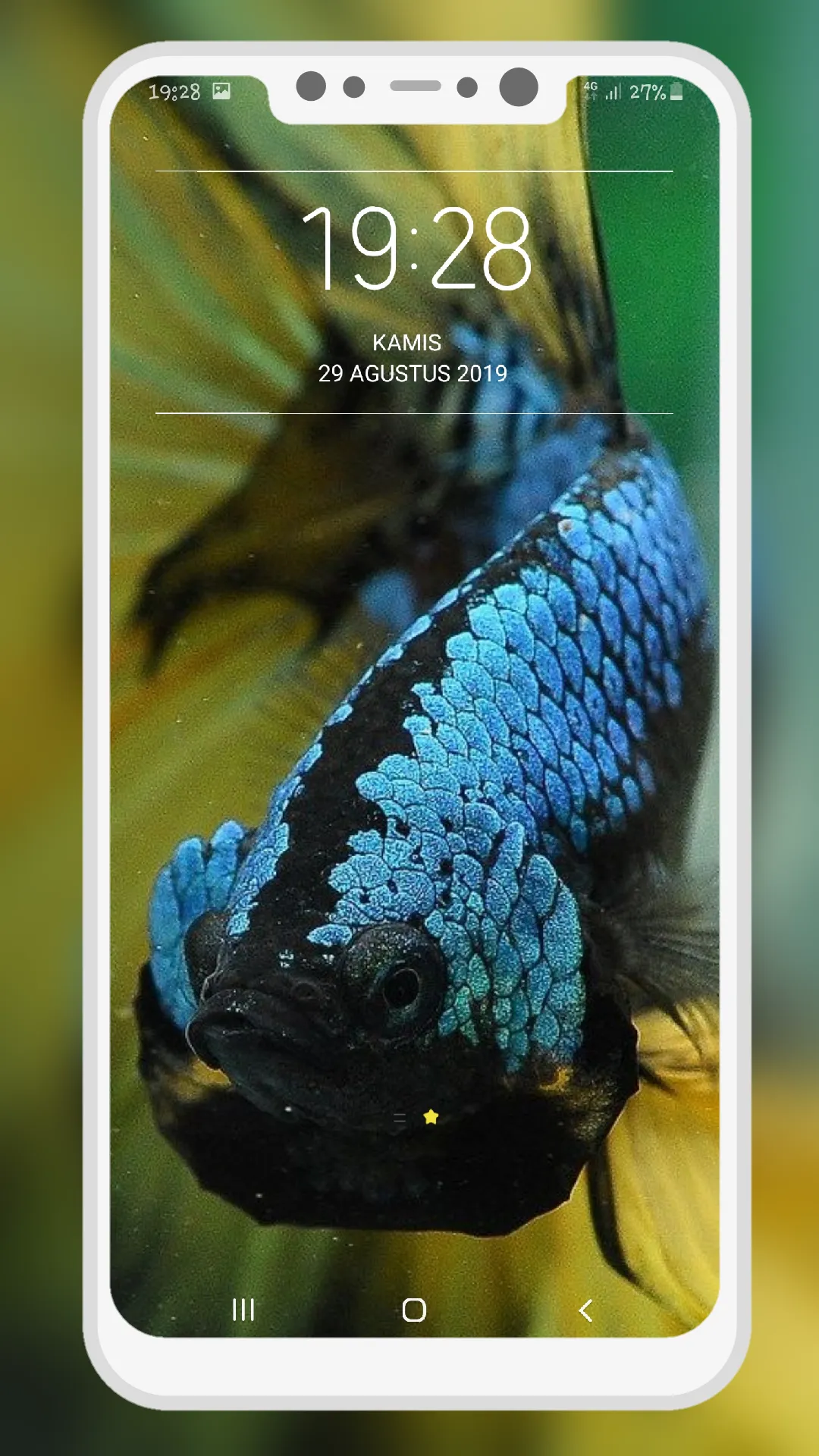 Betta Fish Wallpapers | Indus Appstore | Screenshot