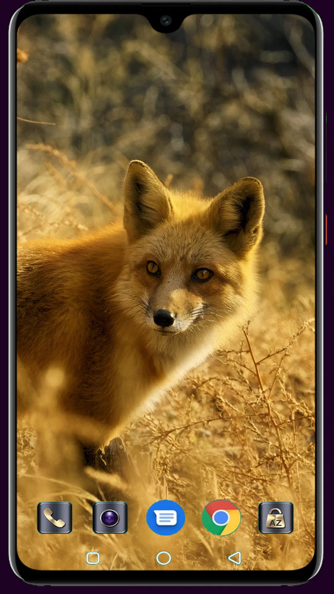 Fox Wallpaper | Indus Appstore | Screenshot