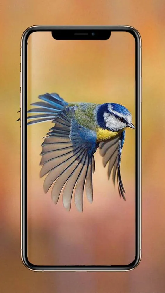 Birds Wallpaper | Indus Appstore | Screenshot