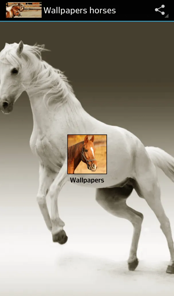 horse pictures | Indus Appstore | Screenshot