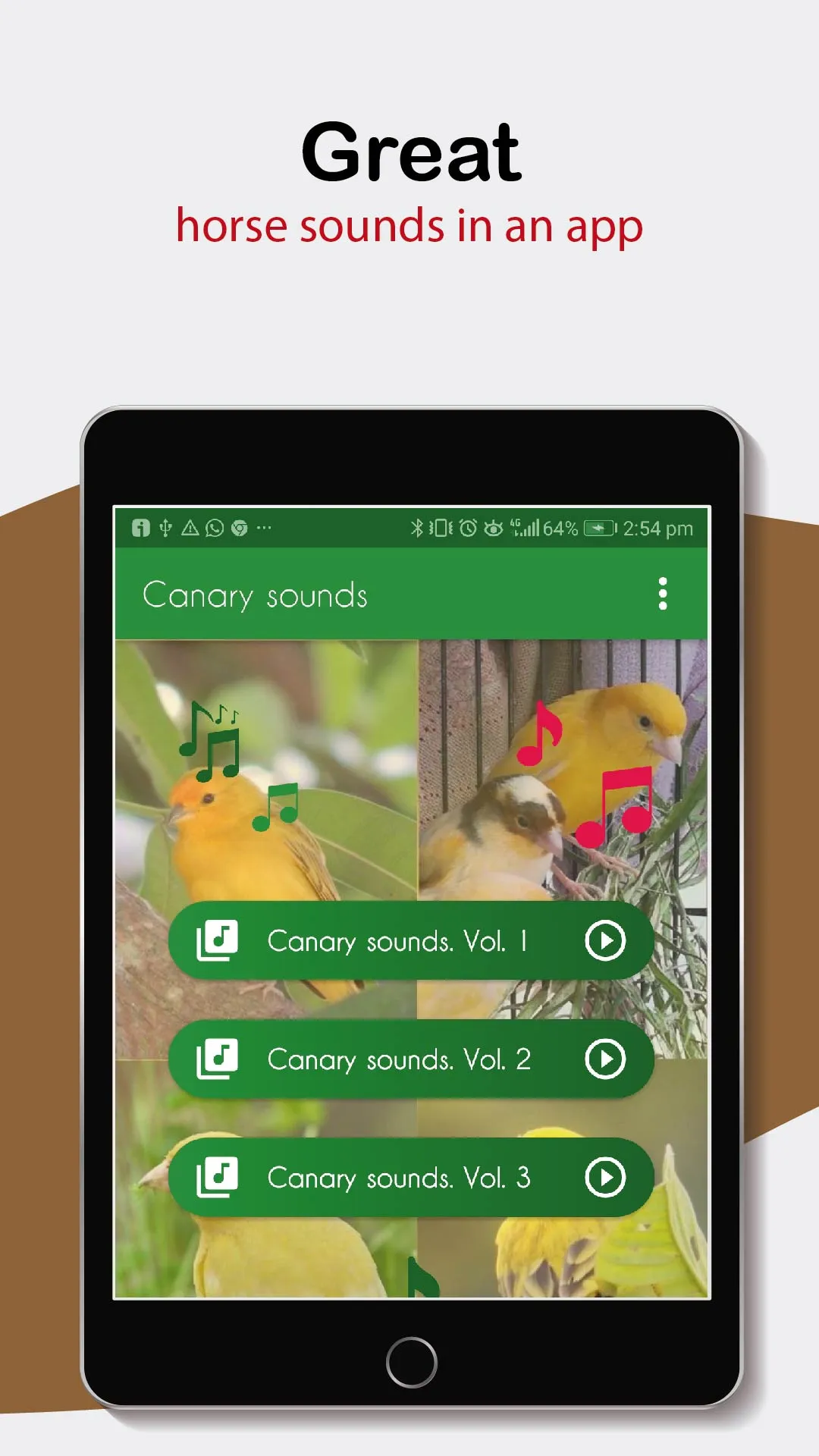 Canary Sounds. nice songs. | Indus Appstore | Screenshot