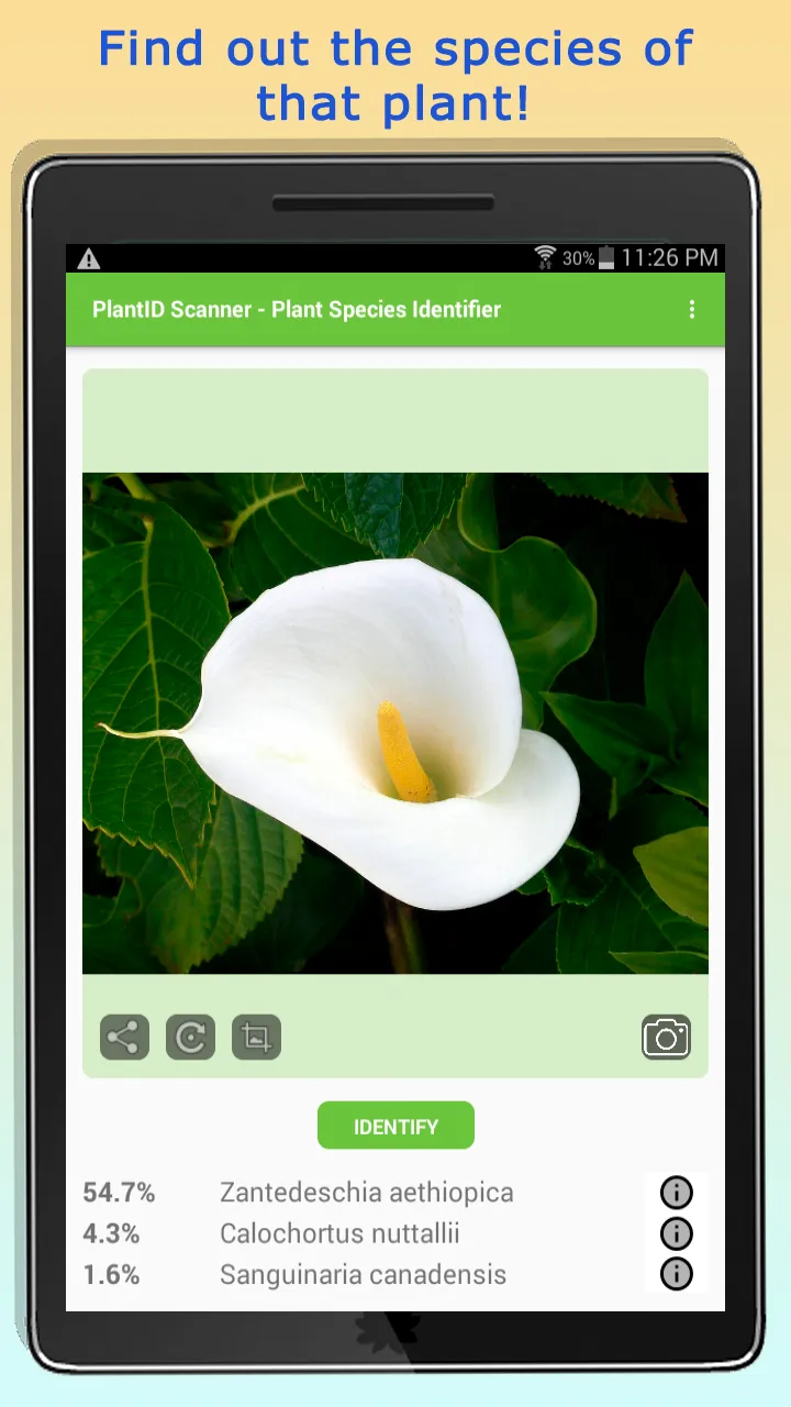 PlantID - Identify Plants | Indus Appstore | Screenshot