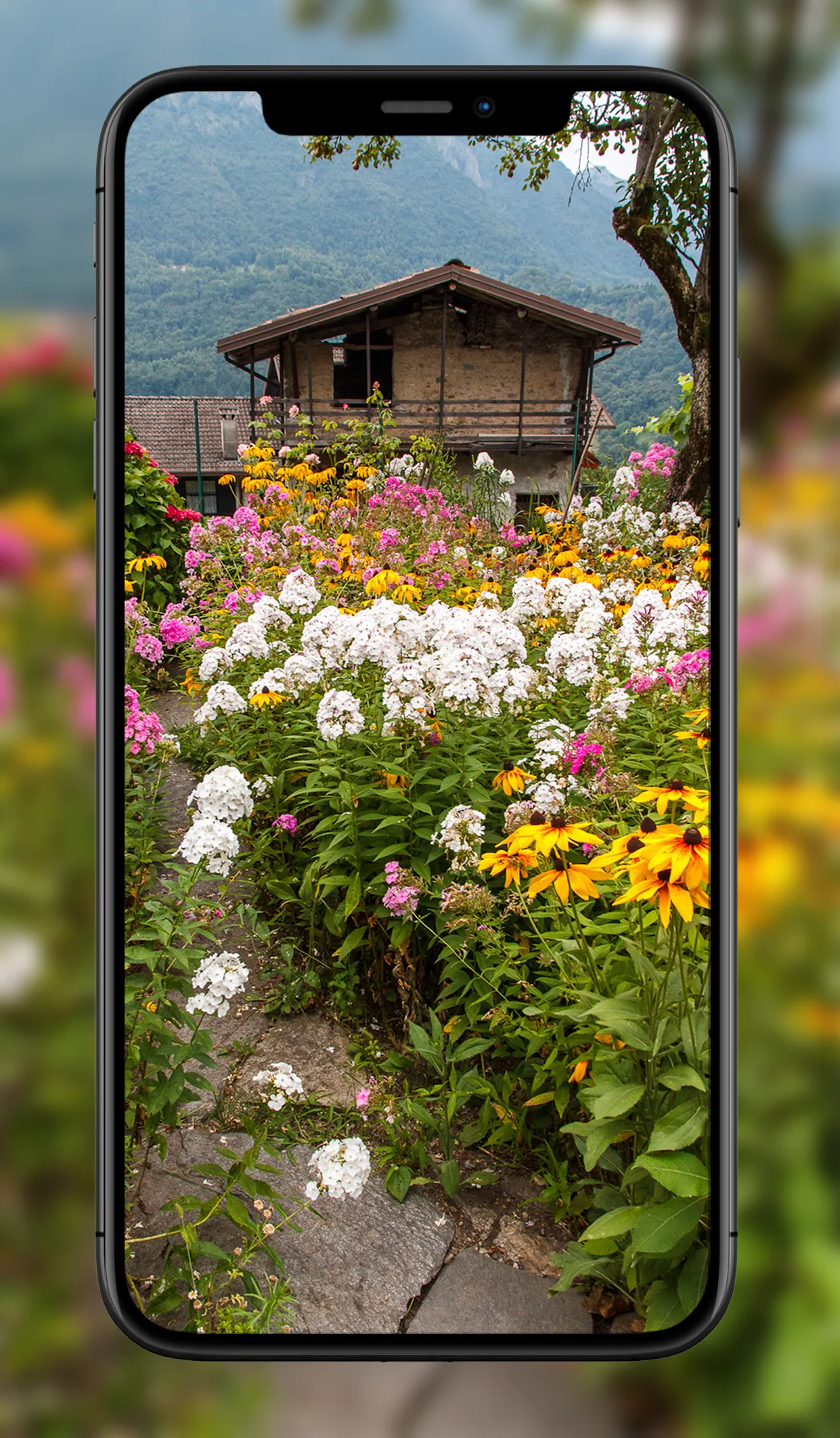 Garden Wallpapers | Indus Appstore | Screenshot