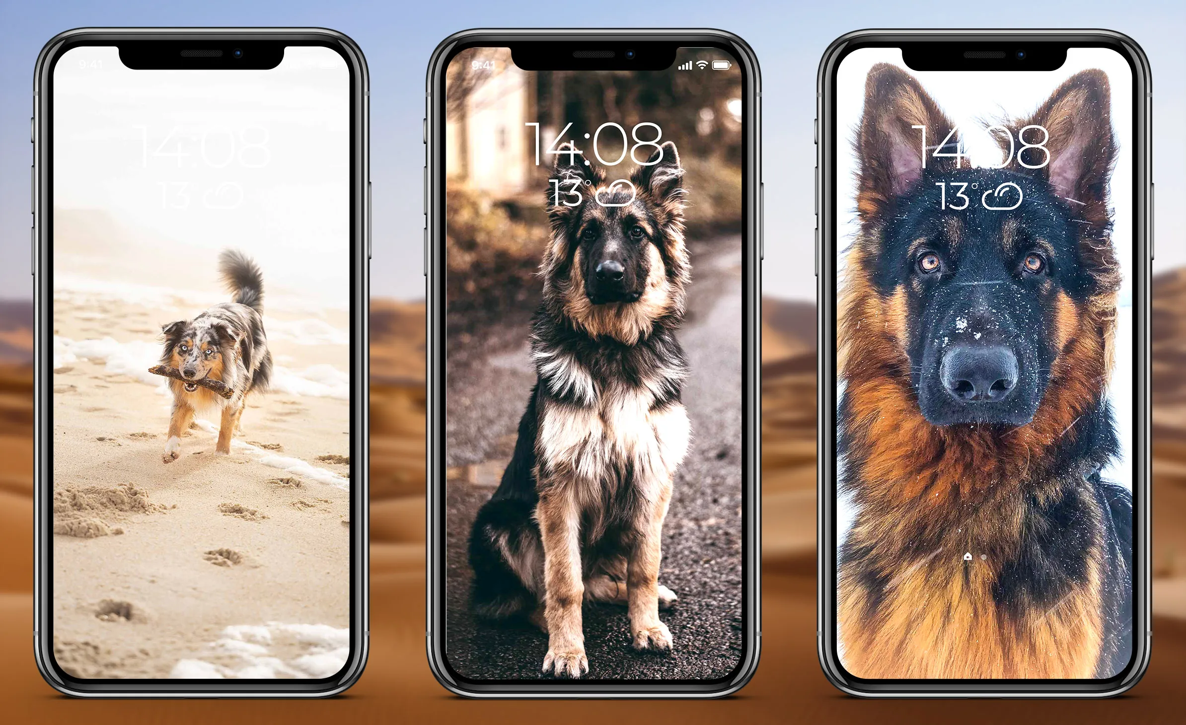 German Shepherd Wallpaper | Indus Appstore | Screenshot