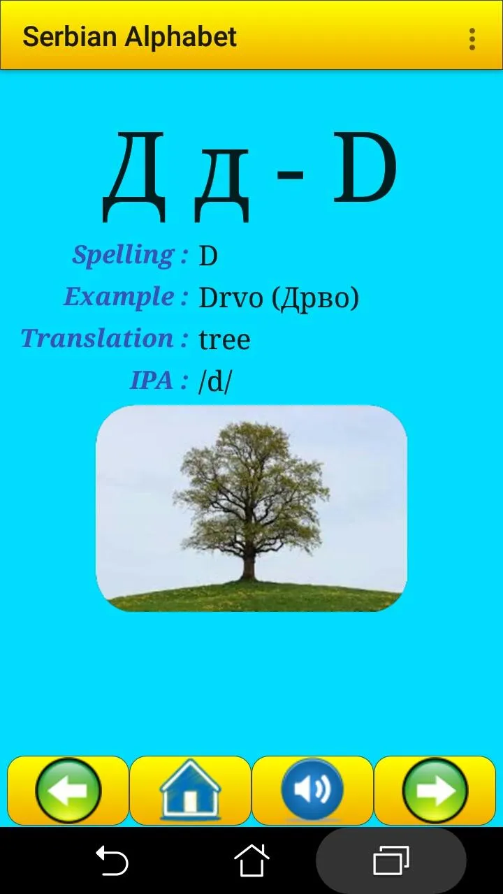 Serbian alphabet for students | Indus Appstore | Screenshot