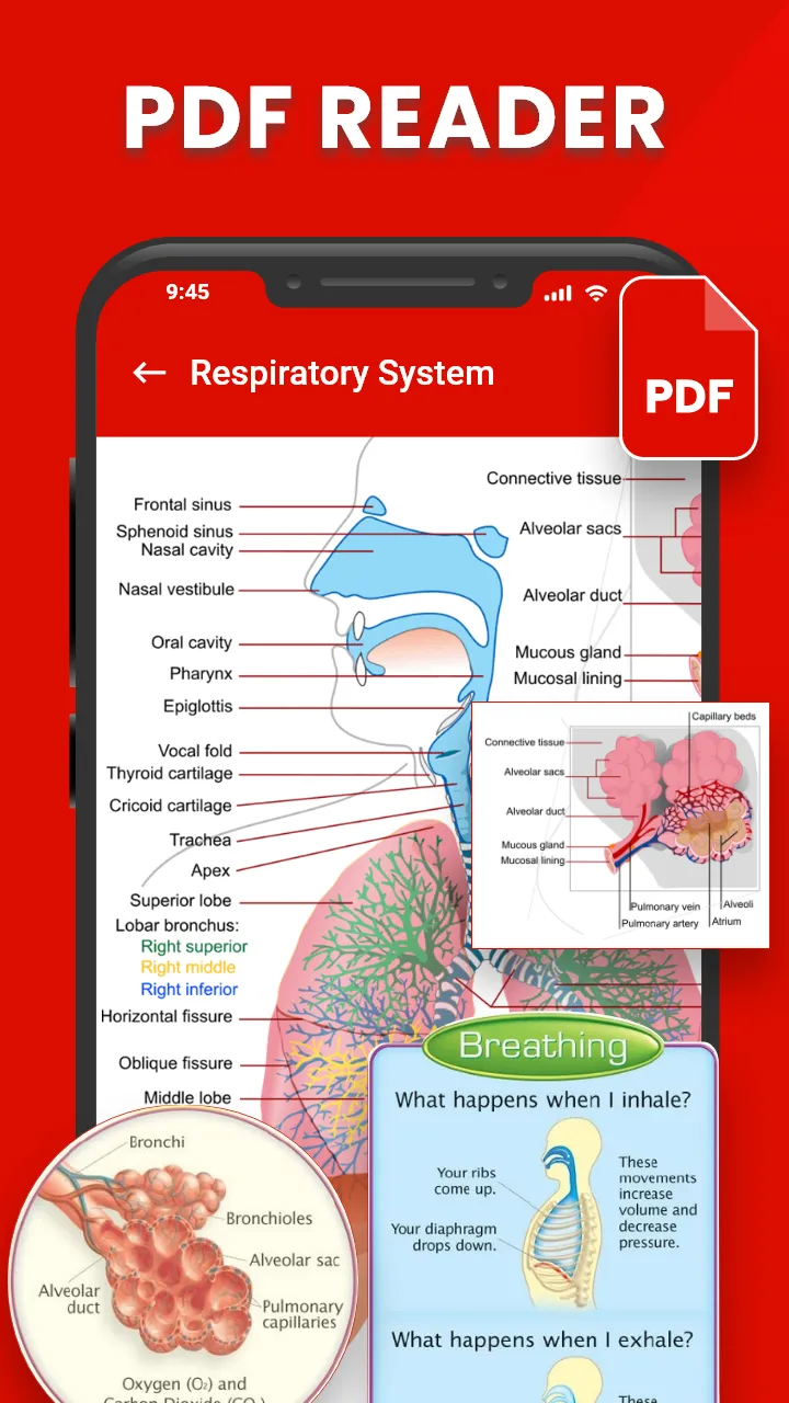 PDF Reader & PDF Book Viewer | Indus Appstore | Screenshot