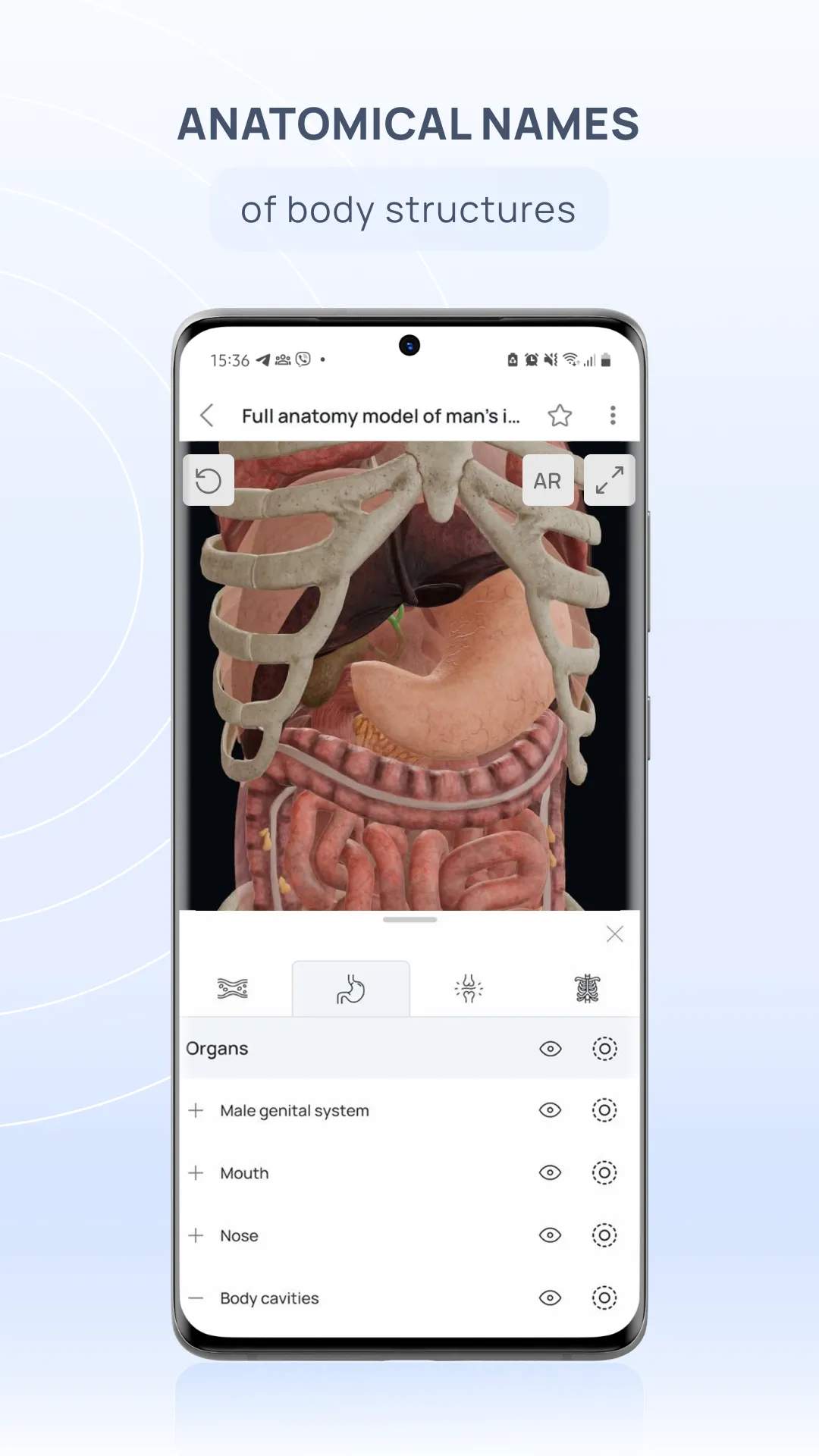 VOKA 3D Anatomy & Pathology | Indus Appstore | Screenshot