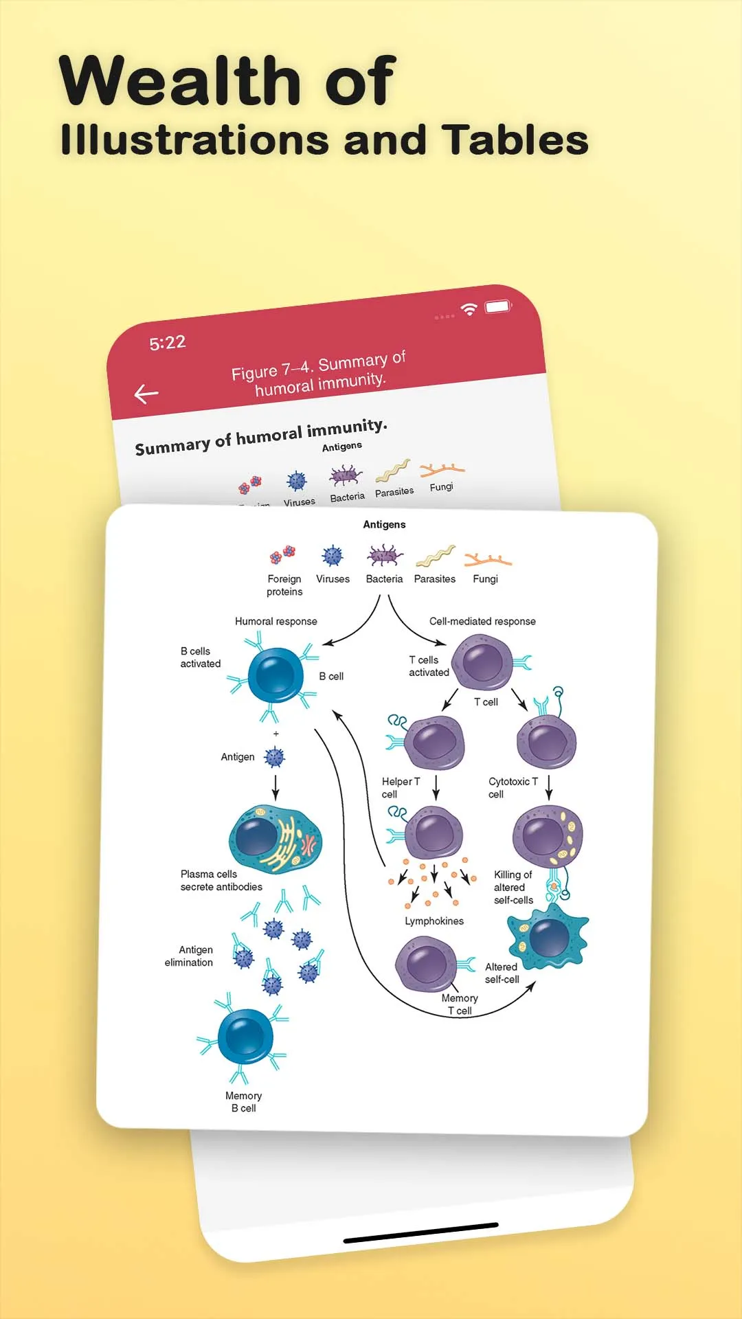 Anatomy Physiology Flash Cards | Indus Appstore | Screenshot