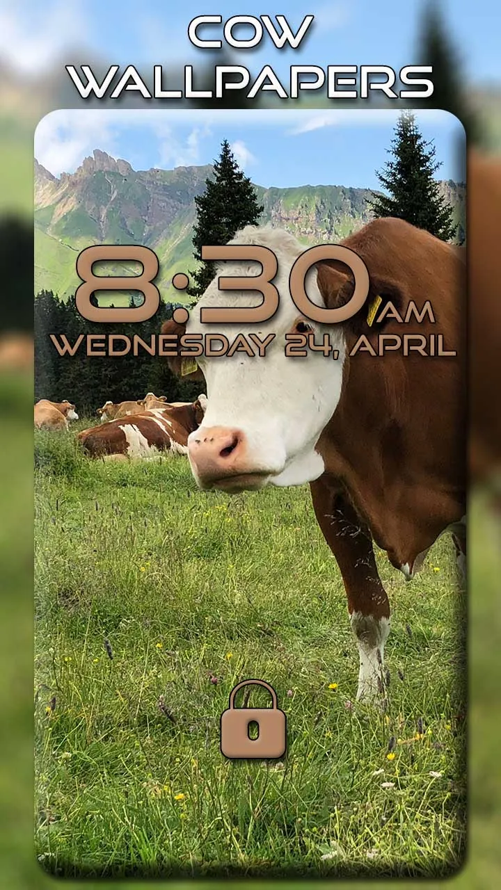 Cow Wallpapers | Indus Appstore | Screenshot