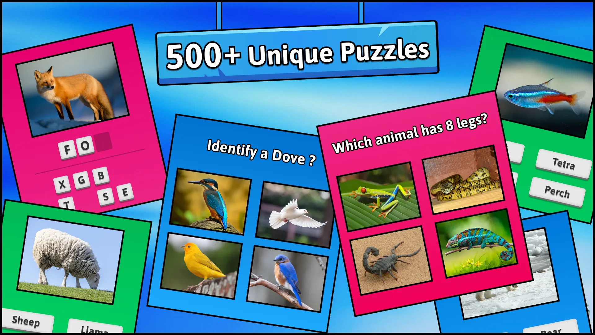 Animal Quiz Guess their Answer | Indus Appstore | Screenshot