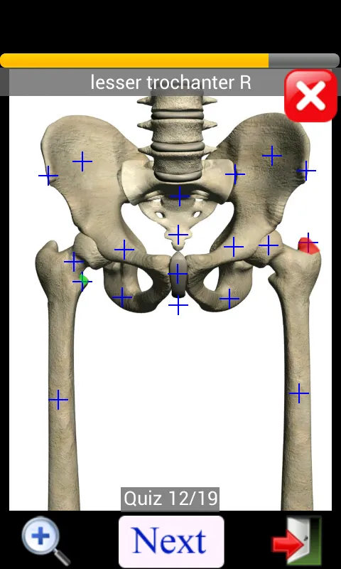 Anatomy Quiz | Indus Appstore | Screenshot