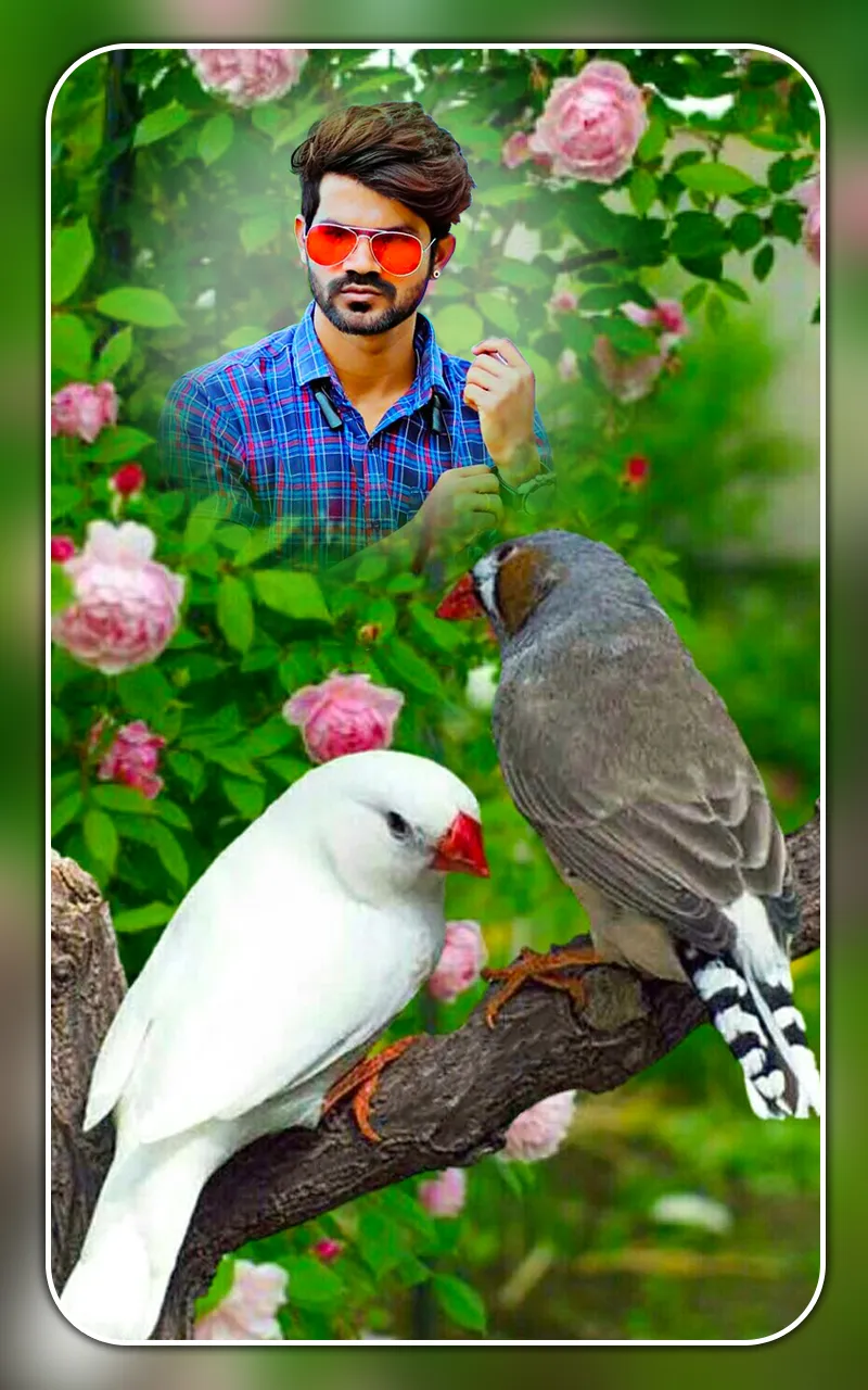 Bird photo editor and frames | Indus Appstore | Screenshot