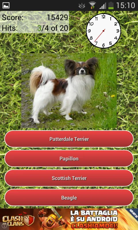 Dog Breeds Quiz | Indus Appstore | Screenshot