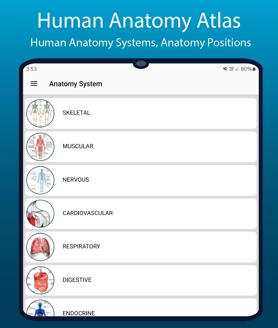 Human Anatomy Handbook | Indus Appstore | Screenshot