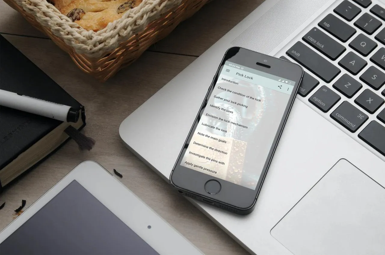 Pick Lock 101 | Indus Appstore | Screenshot