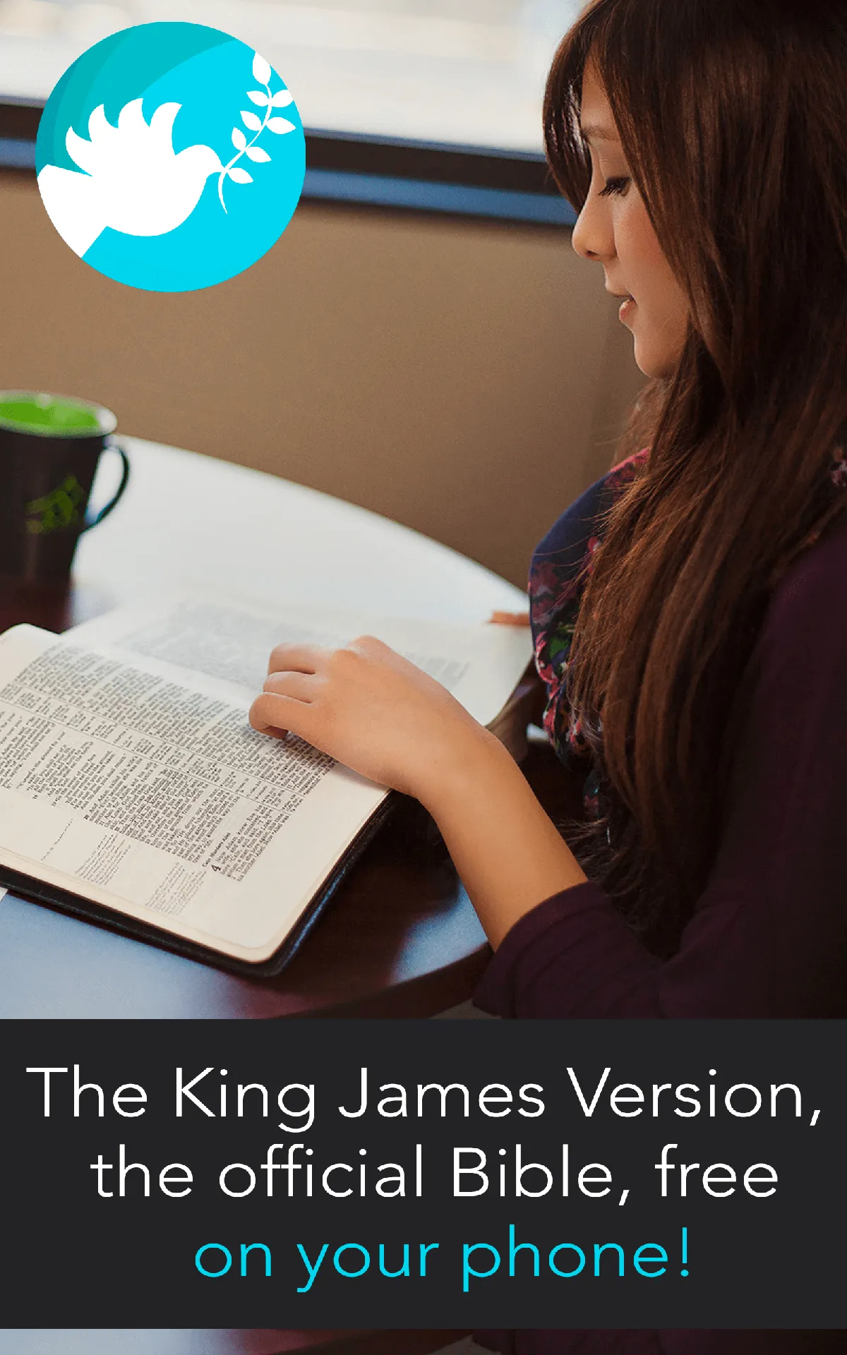 King James Bible Offline | Indus Appstore | Screenshot