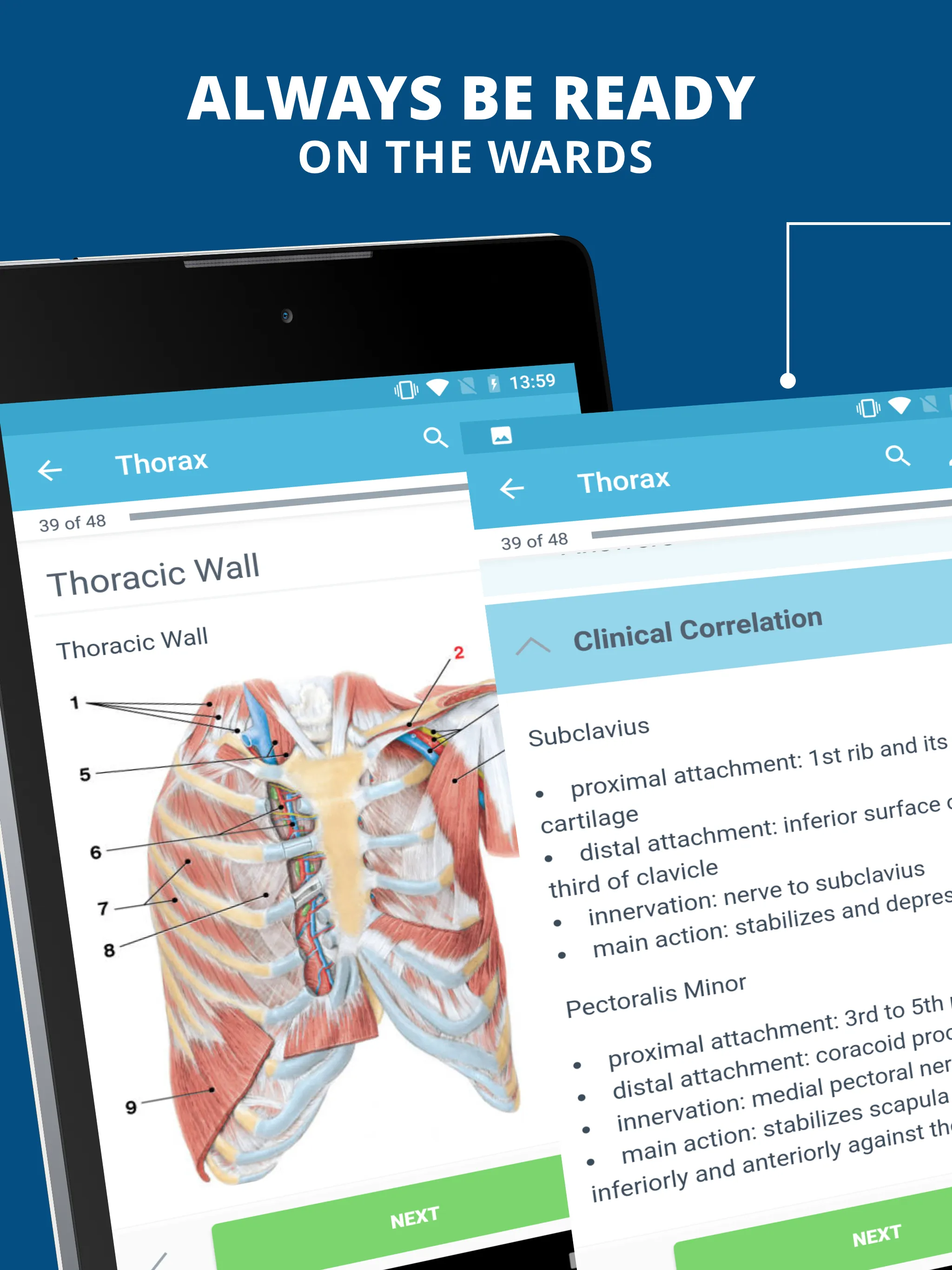 USMLE Clinical Anatomy | Indus Appstore | Screenshot