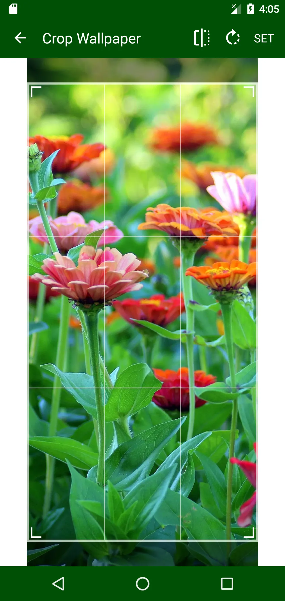 Garden Wallpapers 4k | Indus Appstore | Screenshot