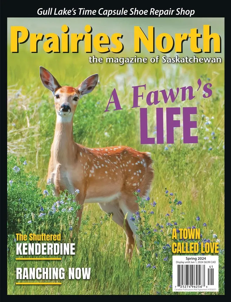 Prairies North Magazine | Indus Appstore | Screenshot