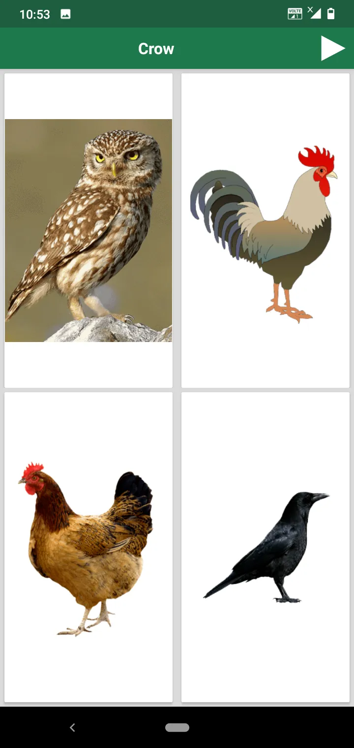 English Animals and Birds Quiz | Indus Appstore | Screenshot