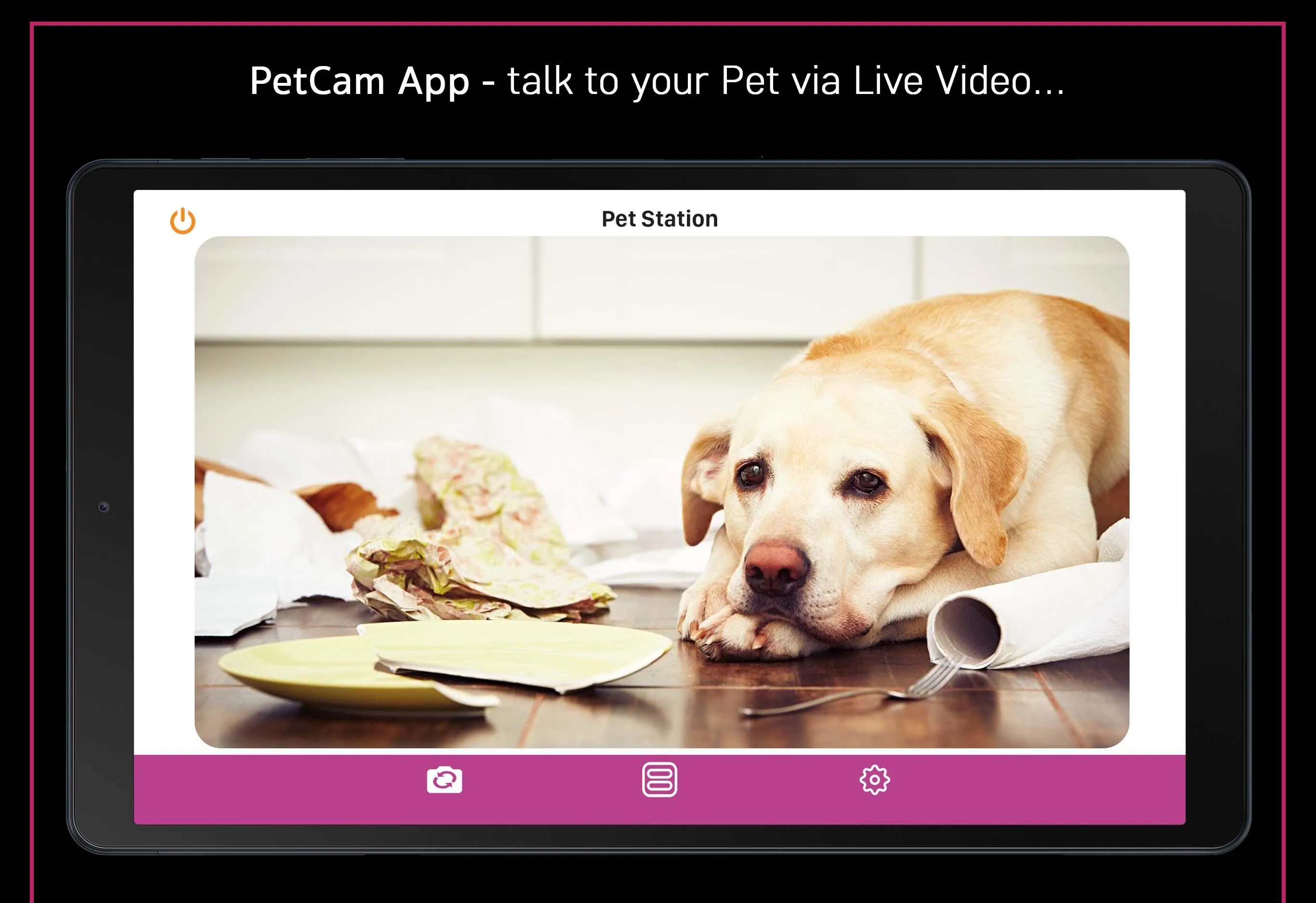 PetCam App - Dog Camera App | Indus Appstore | Screenshot