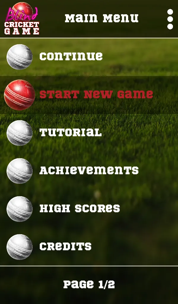 Blind Cricket | Indus Appstore | Screenshot