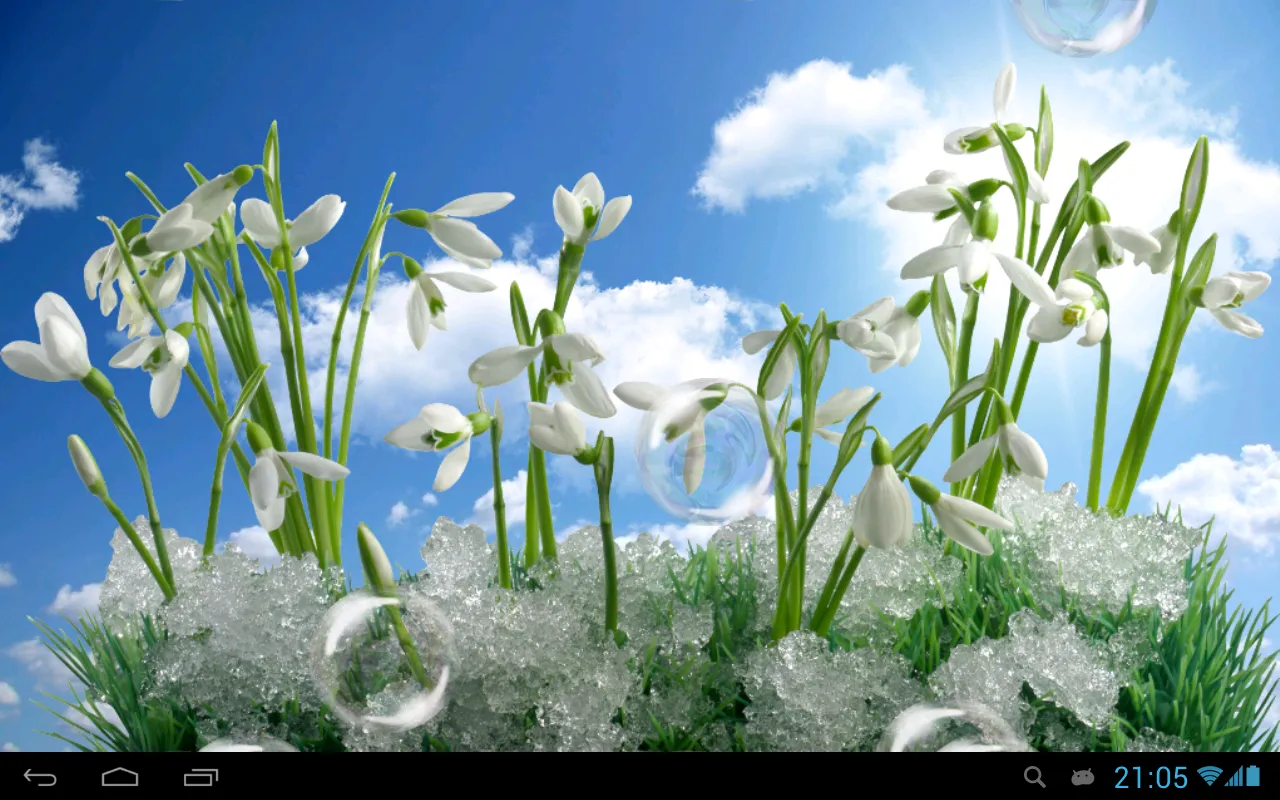 Snowdrops Live Wallpaper HD | Indus Appstore | Screenshot