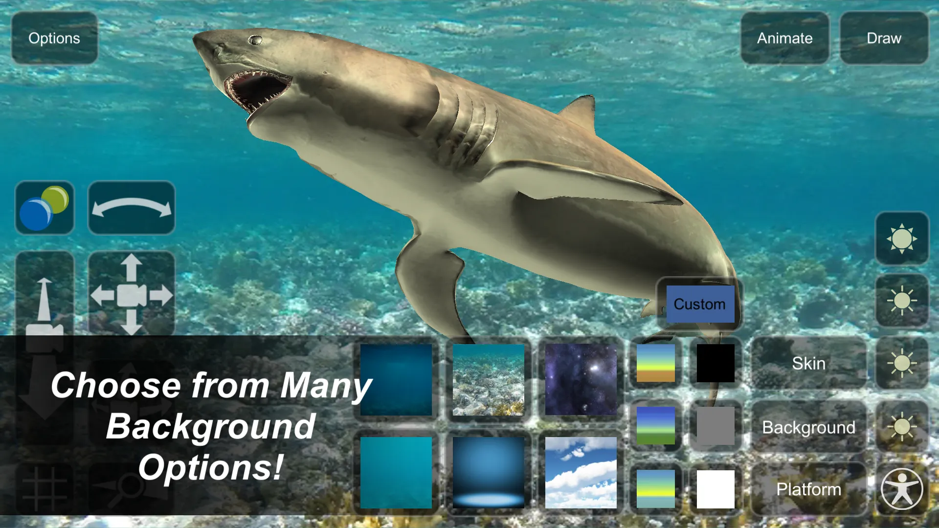 Shark Mannequin | Indus Appstore | Screenshot