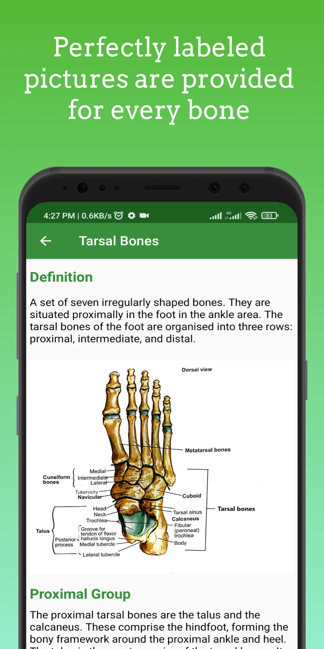 Human Skeleton 3D ( Anatomy ) | Indus Appstore | Screenshot