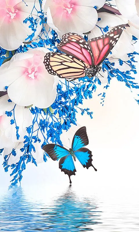 Butterfly Live Wallpaper | Indus Appstore | Screenshot