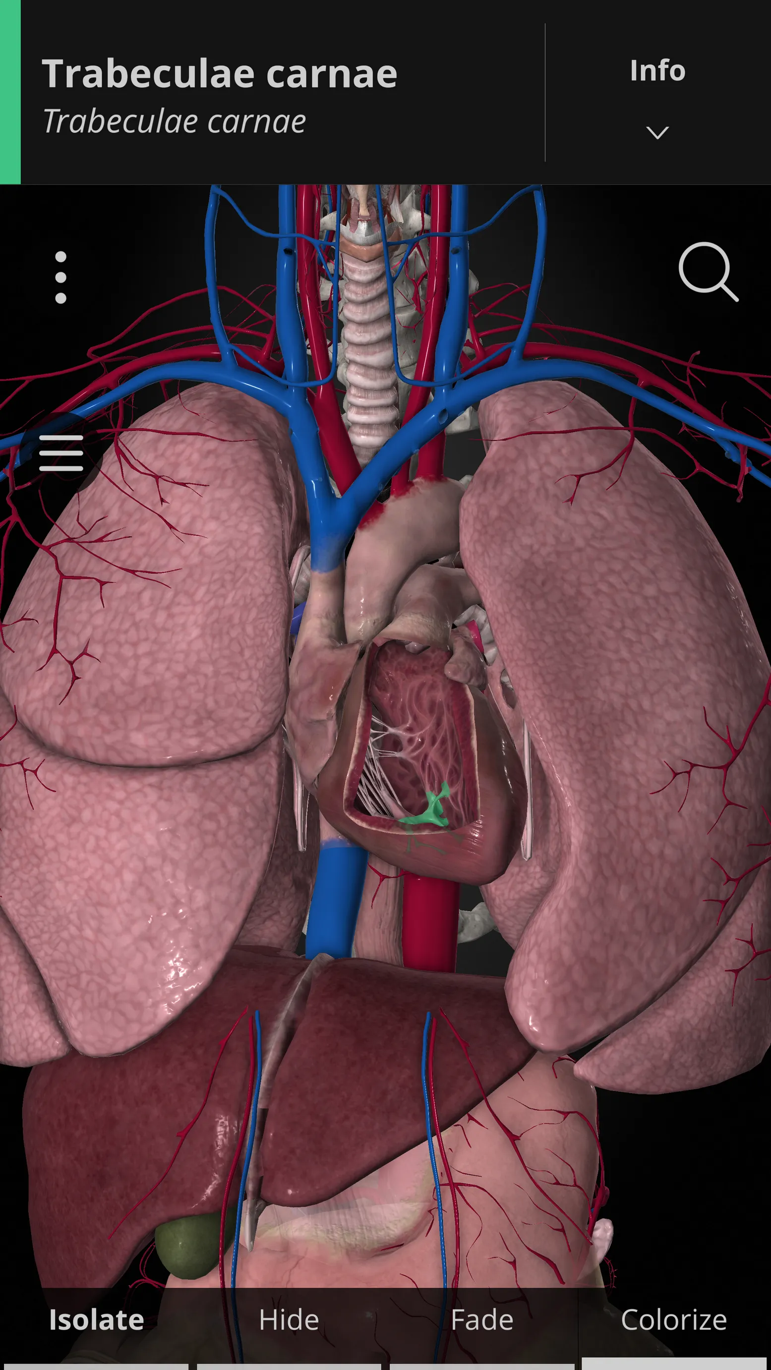 Anatomyka - 3D Anatomy Atlas | Indus Appstore | Screenshot