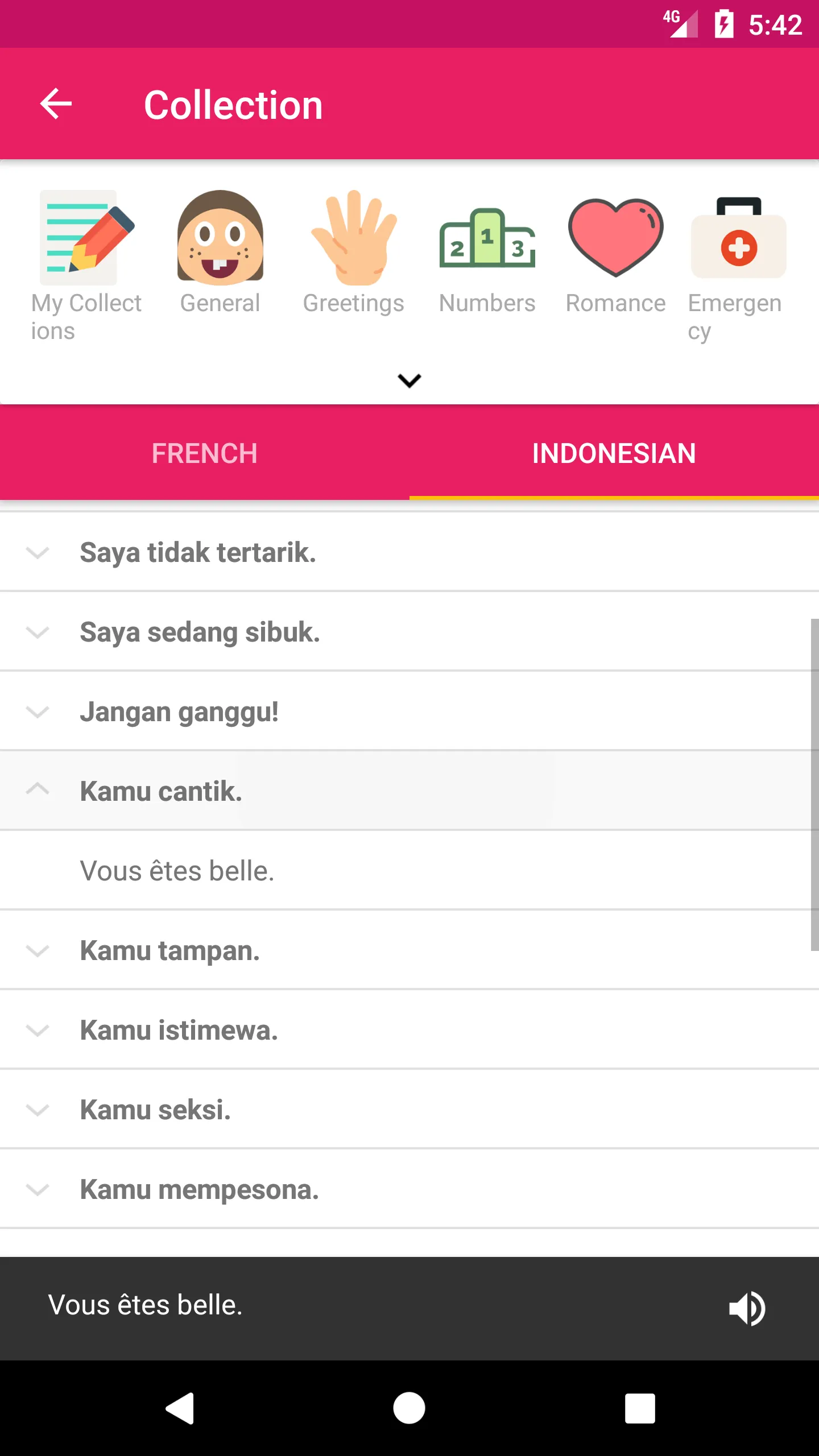 French Indonesian Dictionary | Indus Appstore | Screenshot