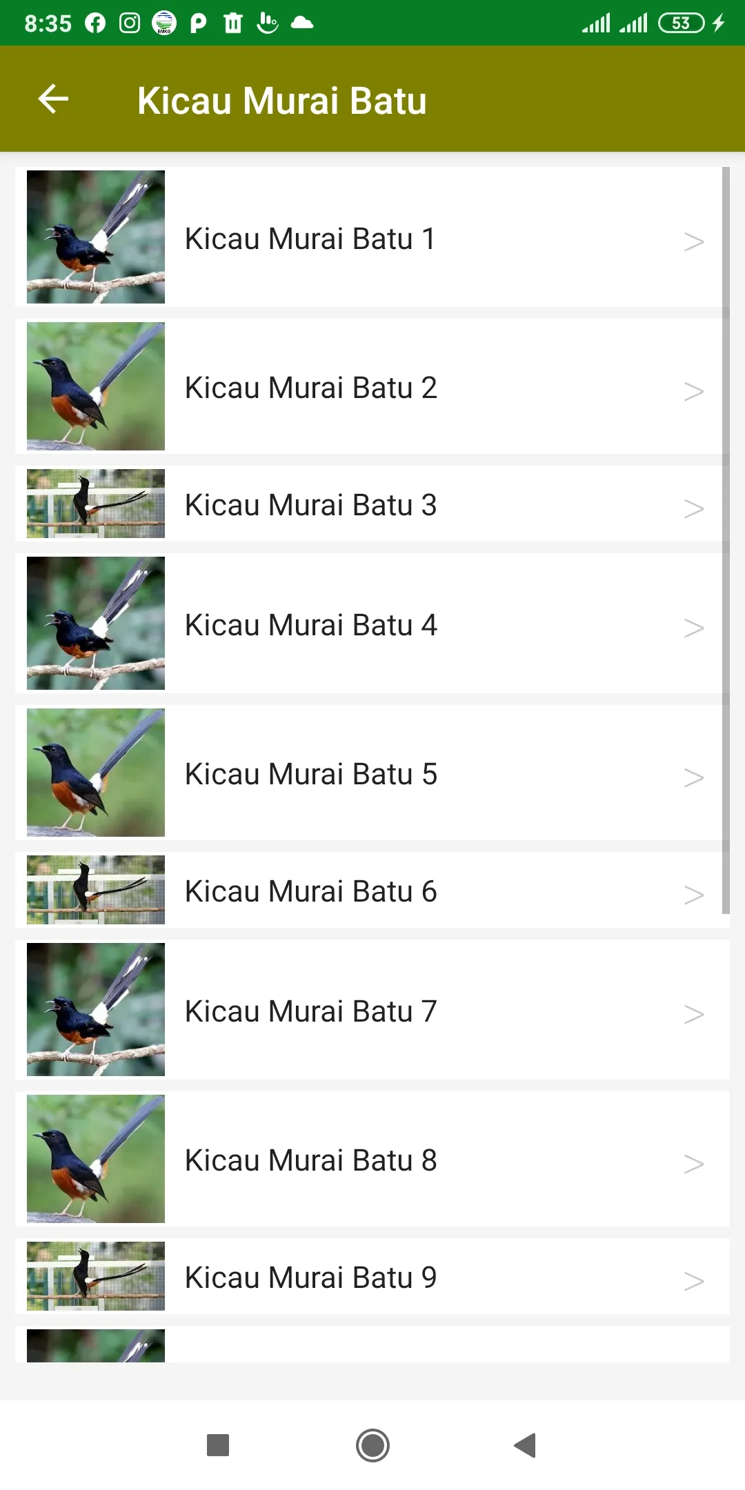 Suara Kicau Murai Batu Offline | Indus Appstore | Screenshot