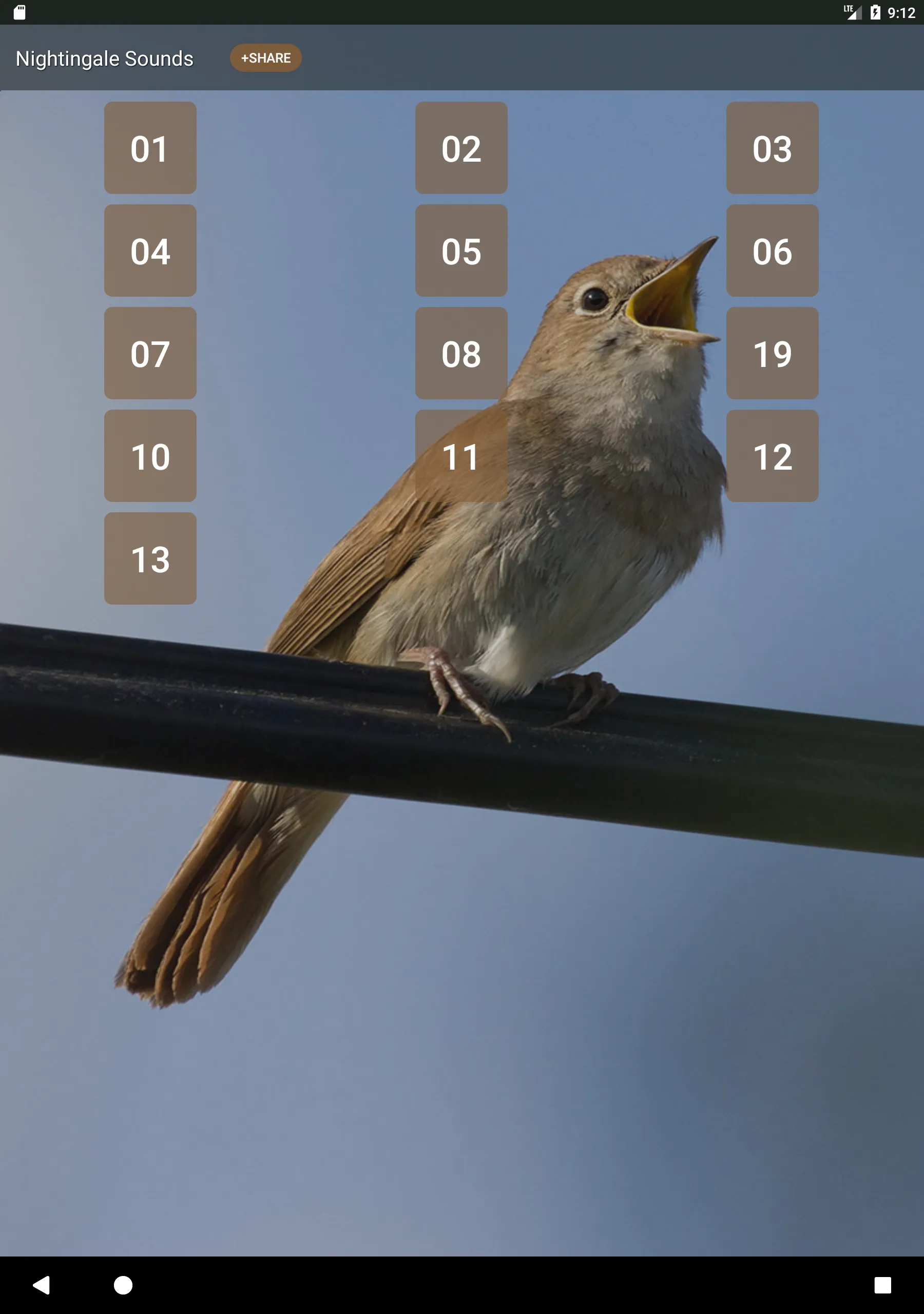 Nightingale Bird Sounds | Indus Appstore | Screenshot