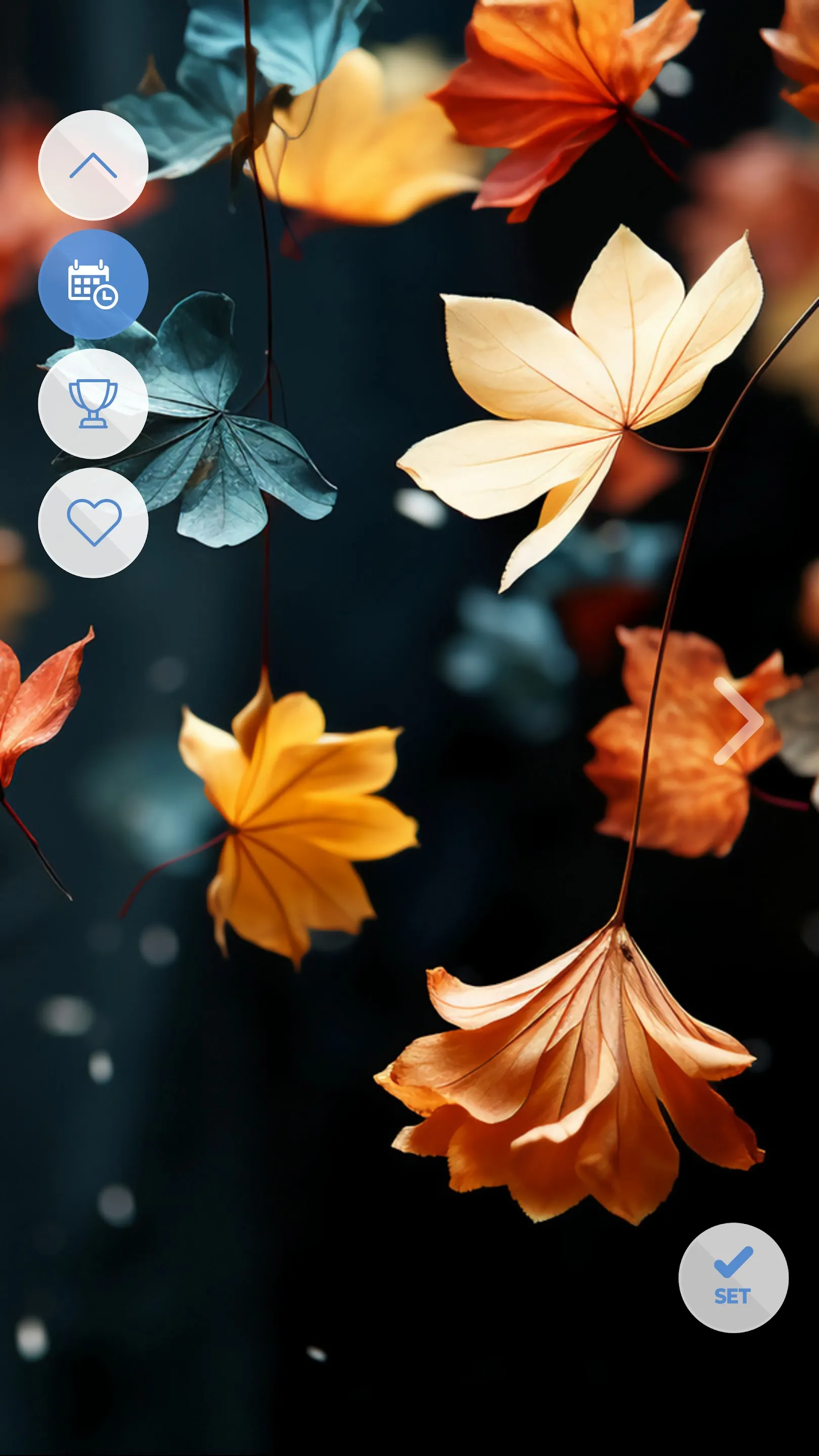 Leaves cool wallpaper | Indus Appstore | Screenshot