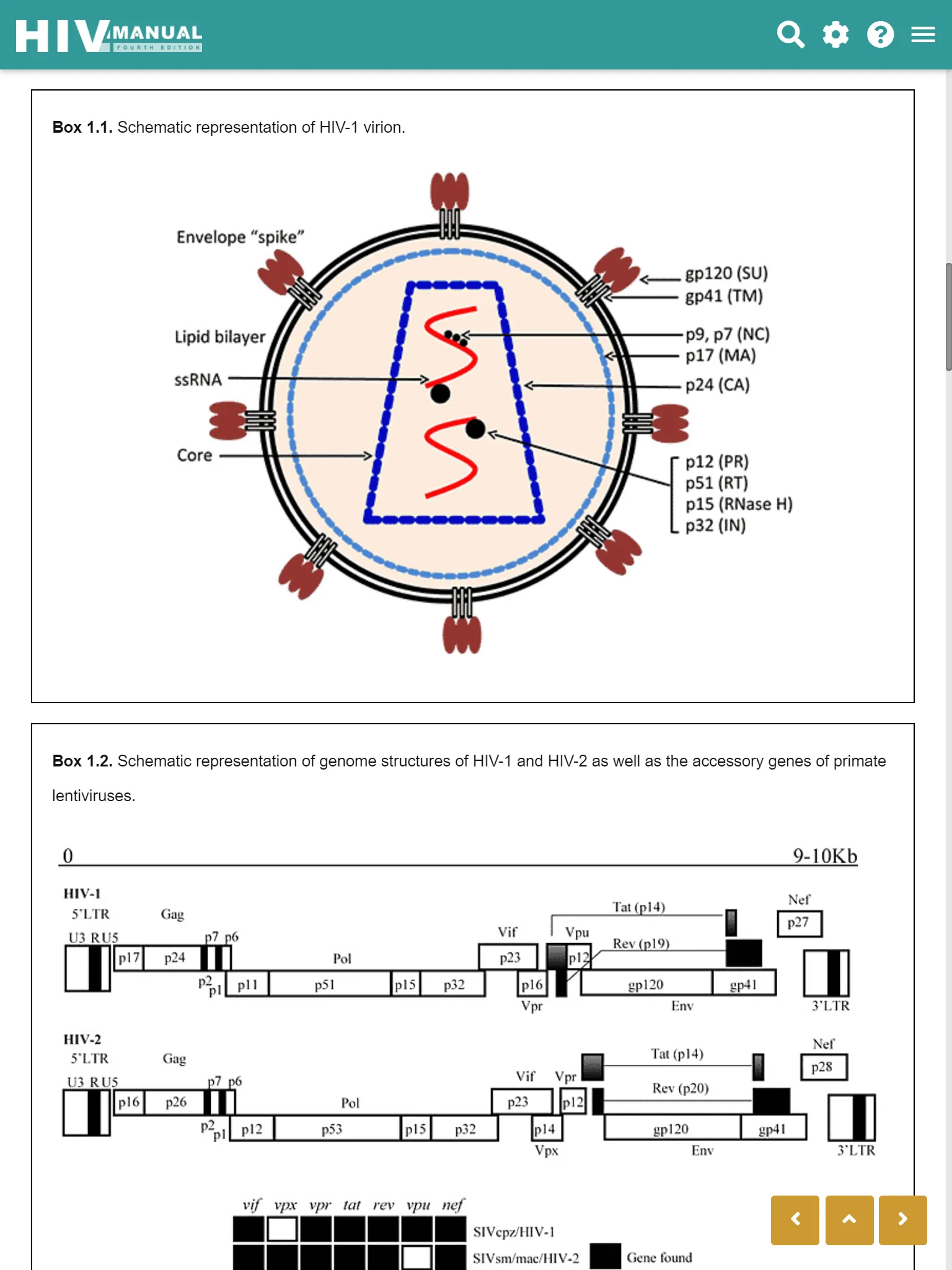 HIV Manual Fourth Edition | Indus Appstore | Screenshot