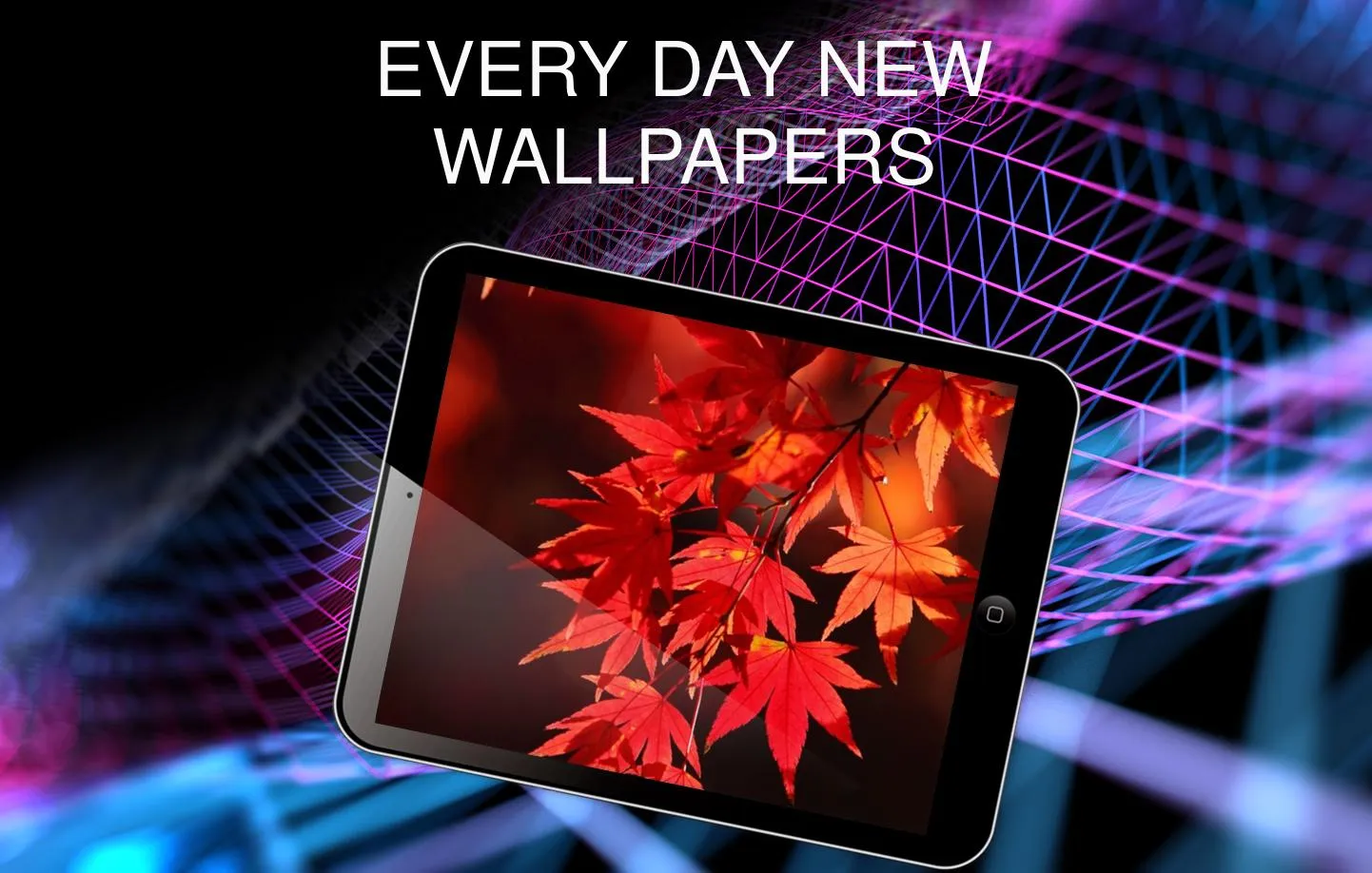 Autumn wallpapers | Indus Appstore | Screenshot