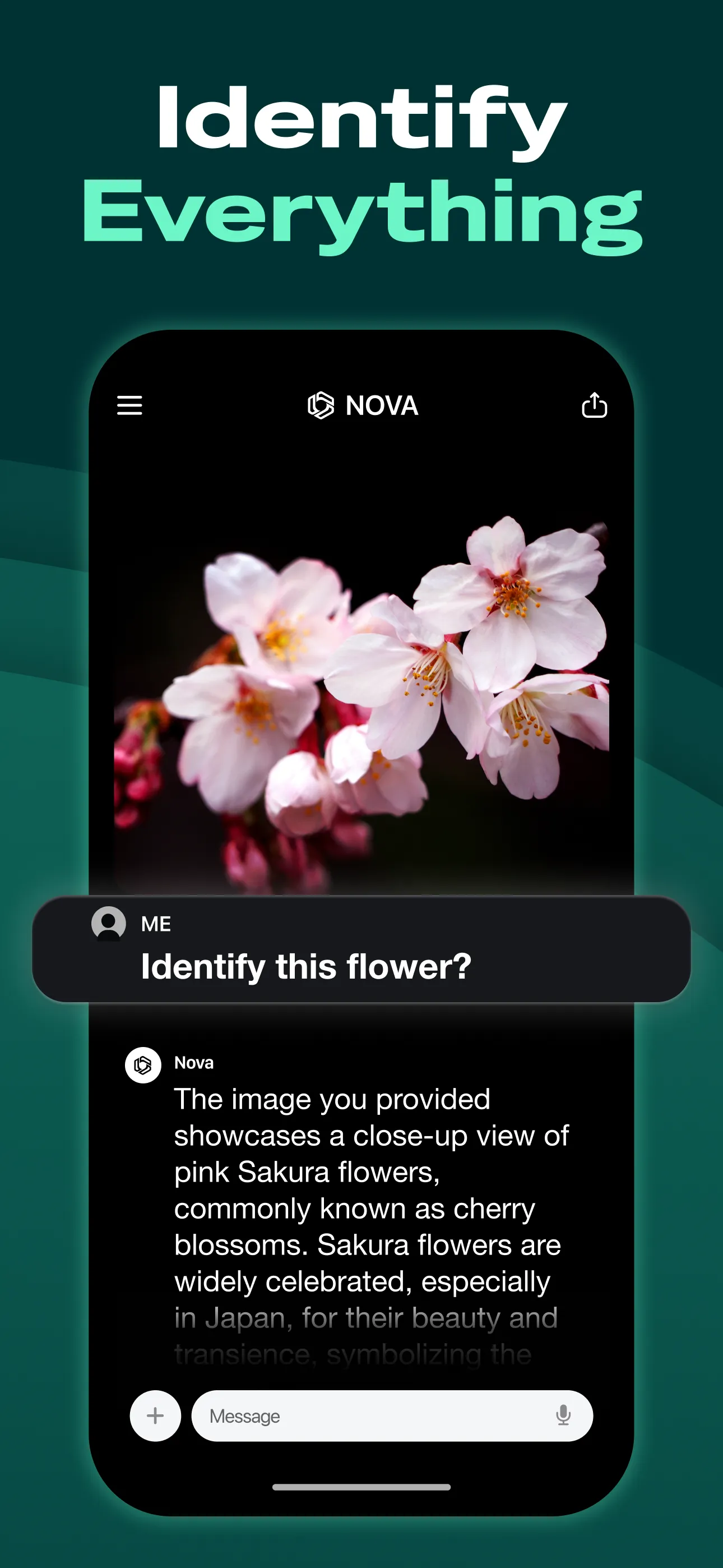 AI Chatbot - Nova | Indus Appstore | Screenshot