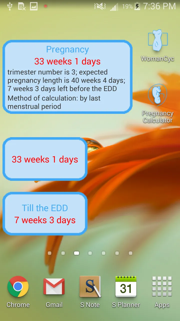 Pregnancy Calculator | Indus Appstore | Screenshot