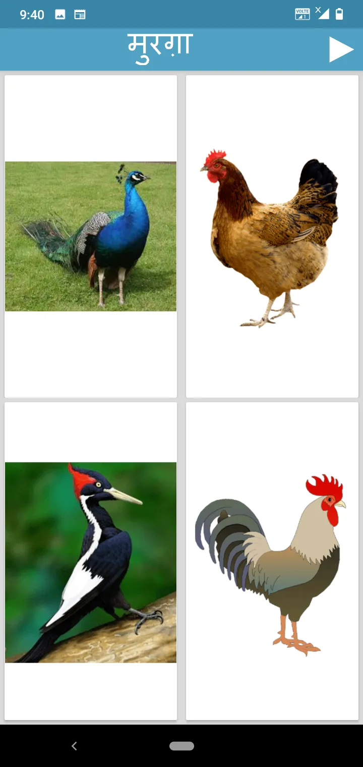 Hindi Animals and Birds - Quiz | Indus Appstore | Screenshot