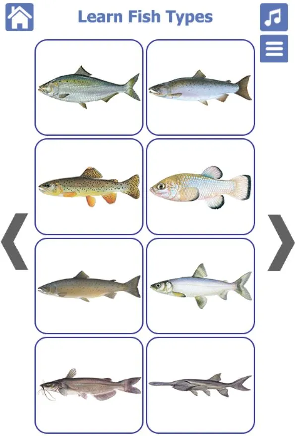 Fish Types | Goldfish Saltwate | Indus Appstore | Screenshot