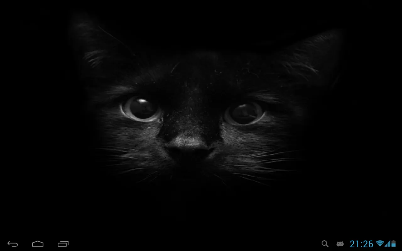 Black cats Live Wallpaper | Indus Appstore | Screenshot