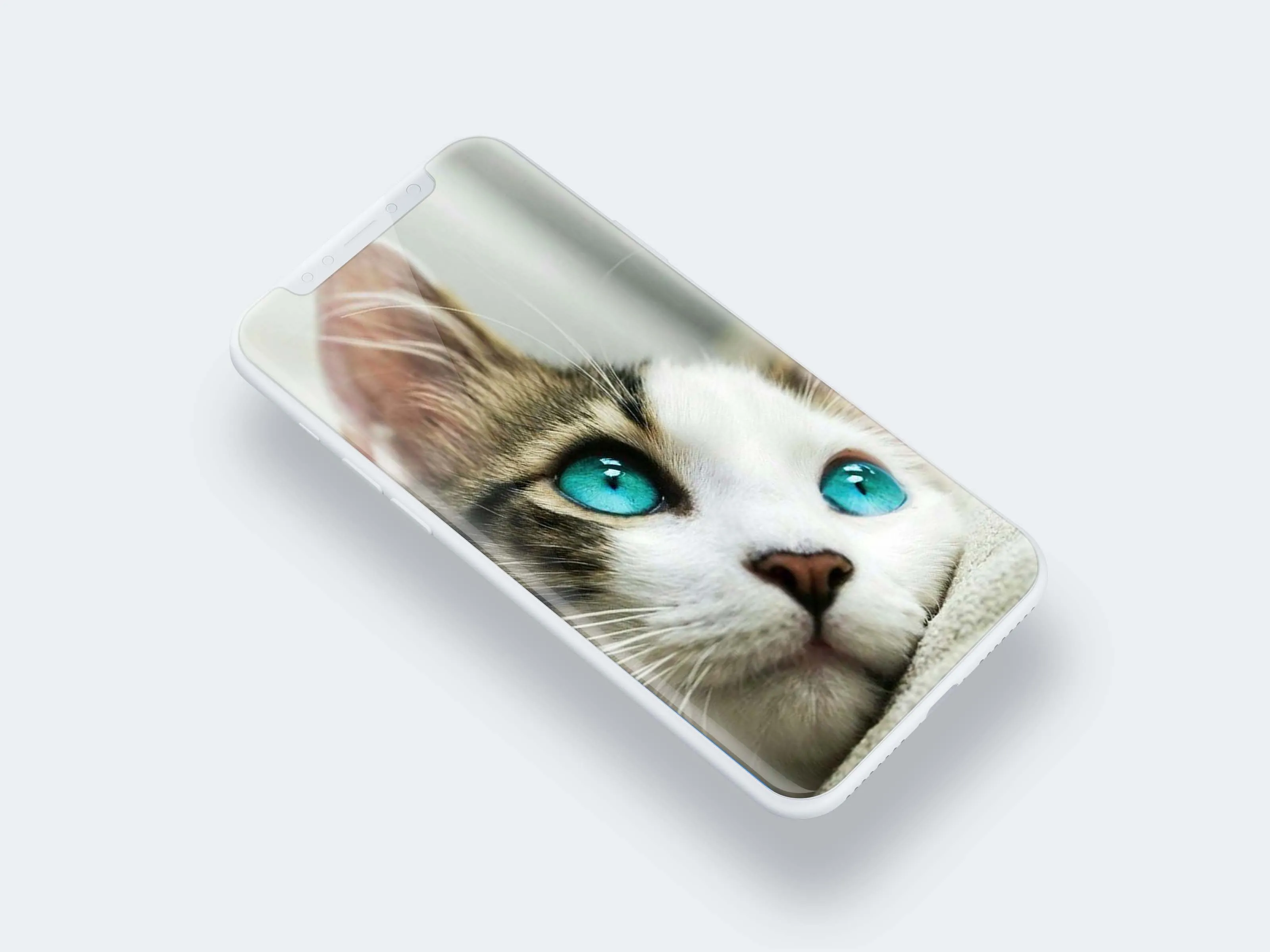 Cute Cat Wallpaper | Indus Appstore | Screenshot