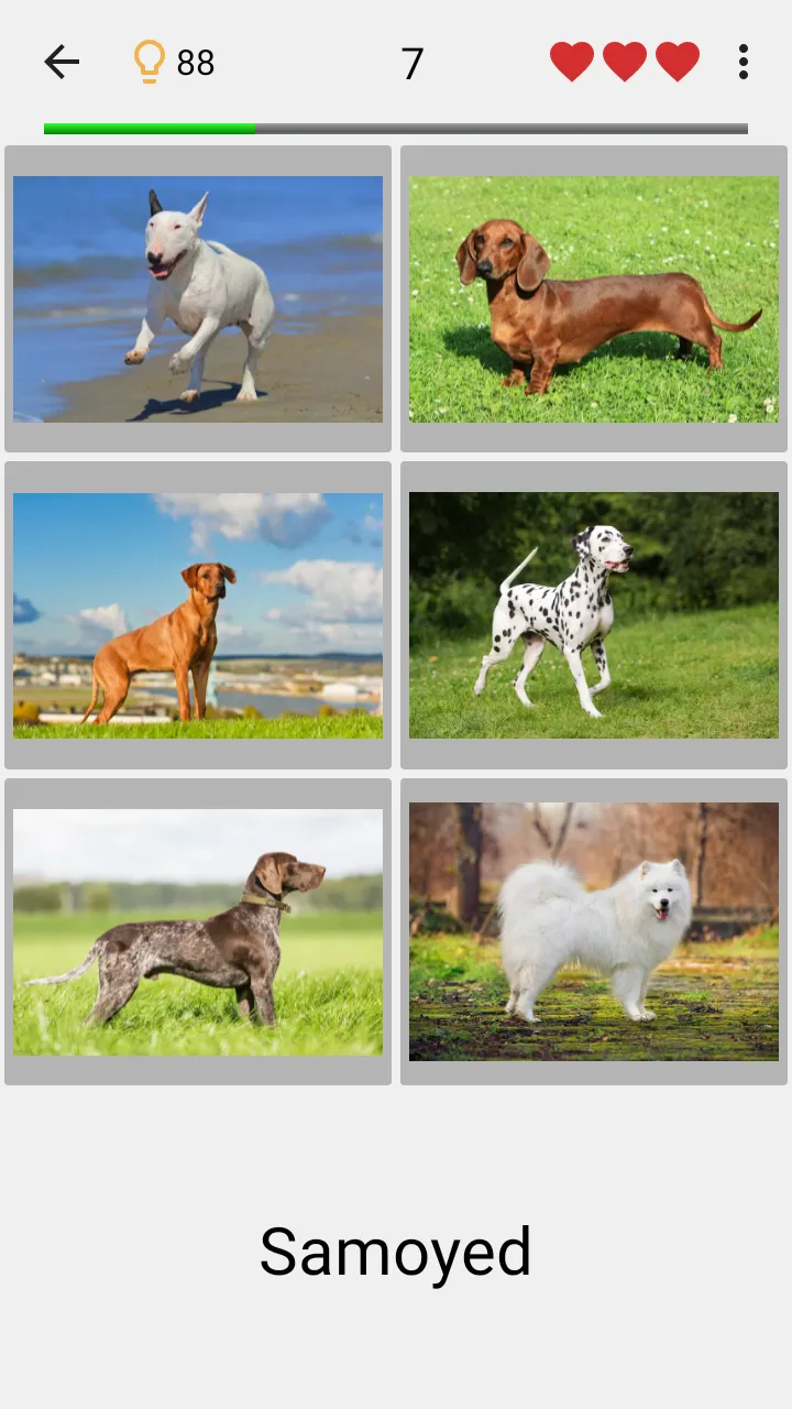Dogs Quiz - Guess All Breeds! | Indus Appstore | Screenshot