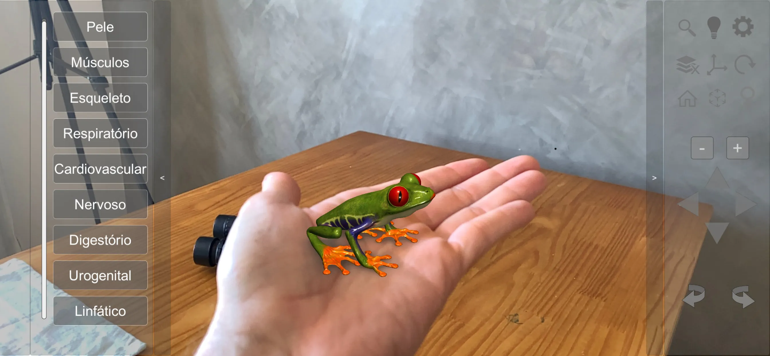 3D Frog Skeleton | Indus Appstore | Screenshot